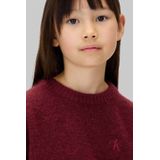 Calvin Klein - Gebreide Trui - Donkerrood