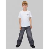 Calvin Klein Jeans Jeans  grijs / grey denim