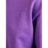 Calvin Klein Jeans vrouwen LS ARCHIVE LOGO FRANSE TERRY RLX LV047B236G sweatshirts, paars (Smokey Shadow), XXS, Paars (Smokey Shadow), XXS