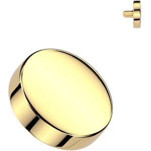 Dermal top 4 mm rond egaal goud 1.6mm