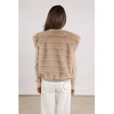 NKF08011 - Gilet - Sand - Stripe