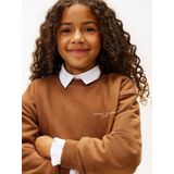 TOMMY HILFIGER Sweatshirt  bruin