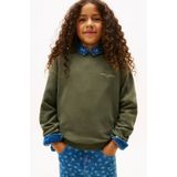 TOMMY HILFIGER Sweatshirt  navy / rood / wit