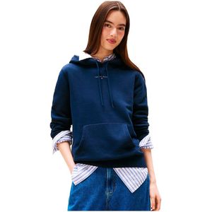 TOMMY JEANS Dames TJW REG LINEAR HOODIE EXT DW0DW21963, Blauw, XXS, Blauw (Donker Nacht Marine), XXS