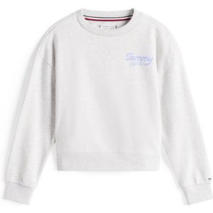 Tommy Hilfiger - TOMMY FLOCK SWEATSHIRT - Lichtgrijs - Sweatshirt