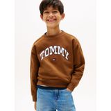 TOMMY HILFIGER Trui 'Varsity'  marine / bruin / rood / wit