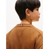 TOMMY HILFIGER Trui 'Varsity'  marine / bruin / rood / wit