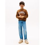 TOMMY HILFIGER Trui 'Varsity'  marine / bruin / rood / wit