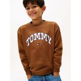 TOMMY HILFIGER Trui 'Varsity'  marine / bruin / rood / wit