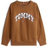 TOMMY HILFIGER Trui 'Varsity'  marine / bruin / rood / wit