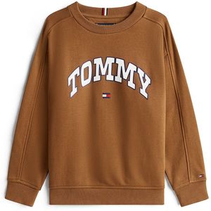 TOMMY HILFIGER Trui 'Varsity'  marine / bruin / rood / wit