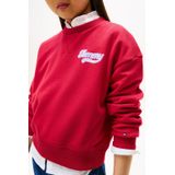 Tommy Hilfiger - Sweater - Katoen en Polyester