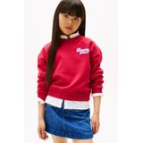 Tommy Hilfiger - Sweater - Katoen en Polyester