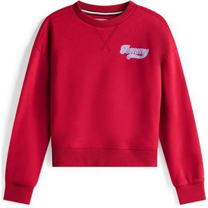 Tommy Hilfiger - Sweater - Katoen en Polyester