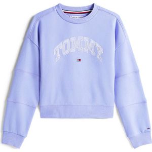 Tommy Hilfiger - Sweater