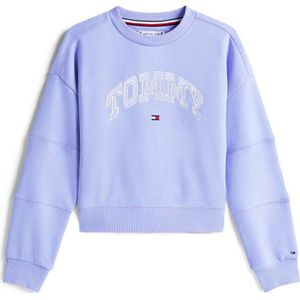 Tommy Hilfiger - Sweater