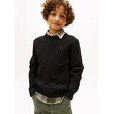 TOMMY HILFIGER - Trui - Zwart - Effen - Lange Mouw