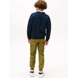 TOMMY HILFIGER Trui 'Varsity'  navy / rood / wit