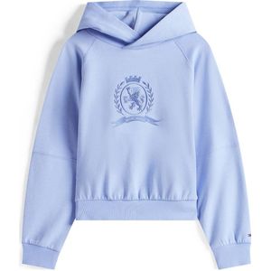 Tommy Hilfiger - Hoodie - Lichtblauw - Sweater