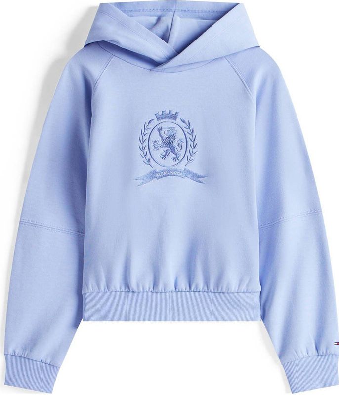 Tommy Hilfiger - Hoodie - Lichtblauw - Sweater