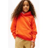 Tommy Hilfiger Kids Ks0ks00660 Hoodie