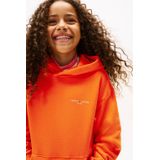 Tommy Hilfiger Kids Ks0ks00660 Hoodie