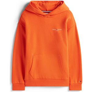 Tommy Hilfiger Kids Ks0ks00660 Hoodie