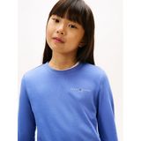 TOMMY HILFIGER Shirt  blauw