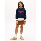 TOMMY HILFIGER - Trui - Marine/Rood/Wit - Knitwear - Lange Mouw