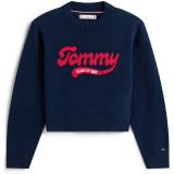 TOMMY HILFIGER - Trui - Marine/Rood/Wit - Knitwear - Lange Mouw
