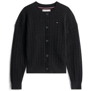 TOMMY HILFIGER Gebreid vest  zwart