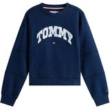 TOMMY HILFIGER - Sweatshirt - Navy - Ronde Hals - Lange Mouw