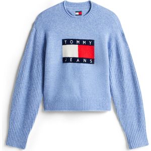 Tommy Jeans Trui  navy / lichtblauw / rood / wit