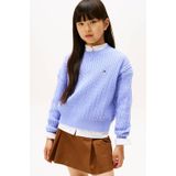 Tommy Hilfiger - Trui - 100% Katoen - Pullovers