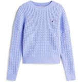 Tommy Hilfiger - Trui - 100% Katoen - Pullovers