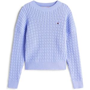 Tommy Hilfiger - Trui - 100% Katoen - Pullovers