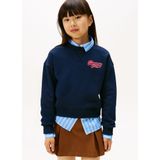 Light Grey Heather - Pullover - Zonder Capuchon - Lange Mouwen - Ronde Hals