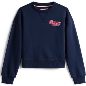 Light Grey Heather - Pullover - Zonder Capuchon - Lange Mouwen - Ronde Hals