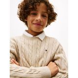 TOMMY HILFIGER Trui  sand