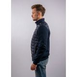 TOMMY HILFIGER - Tussenjas - Navy - Gewatteerde Jas