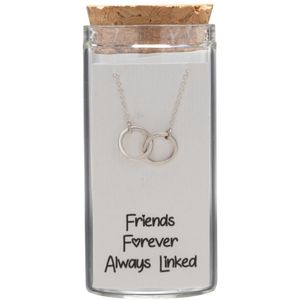 Gift box, ketting in flesje, verbonden ringen
