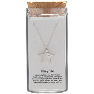 Gift box, ketting in flesje, ster met kristal