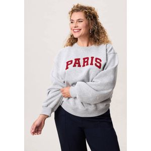 Miss Etam Plus - Sweater - Grijs Melange