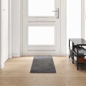 Tapijtloper voor gang, lang, 50 x 200 cm, wasbaar, voor hal Tapijtloper voor gang, lang, 50 x 200 cm, wasbaar, voor hal