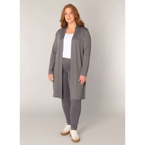 Base Level Curvy - Lang Vest - Grijs - Fijn Gebreid