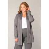 Base Level Curvy - Vest - Grijs - Fijn Gebreid