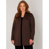 Base Level Curvy - Fijn Gebreid Vest - Donkerbruin