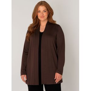 Base Level Curvy - Fijn Gebreid Vest - Donkerbruin