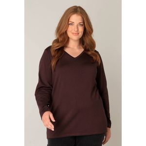 Base Level - Curvy - Gebreide Trui - Bruin - Met V-hals