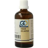 GO - Fagus Sylvatica - Voedingssupplement - Biologisch - 6 ml